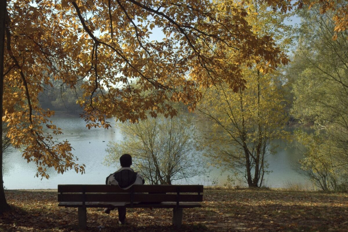 Beautiful Autumn Day